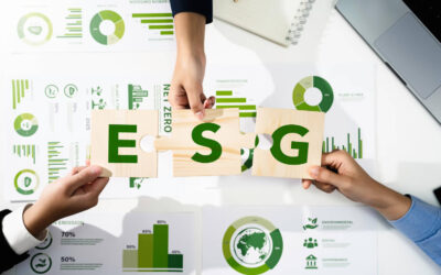 IPEC Sets New Sustainability Standards for Zimbabwe’s Insurance and Pension Industry